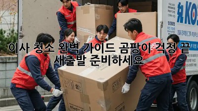 이사 청소 완벽 가이드: 곰팡이 걱정 끝! 새출발 준비하세요!